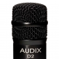 Preview: Audix D2